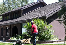 Real Estate Services