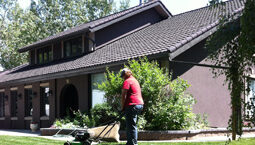 Real Estate Services