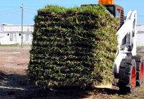 Sod Services